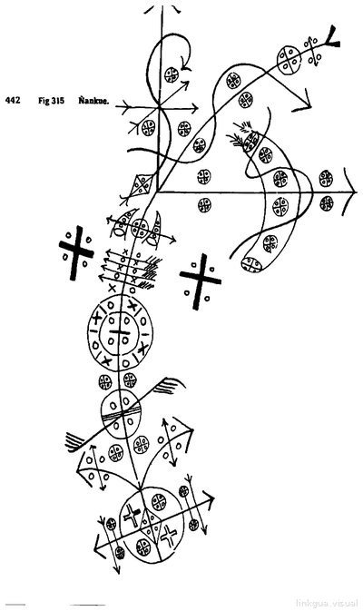 Anaforuana, lámina 3522
