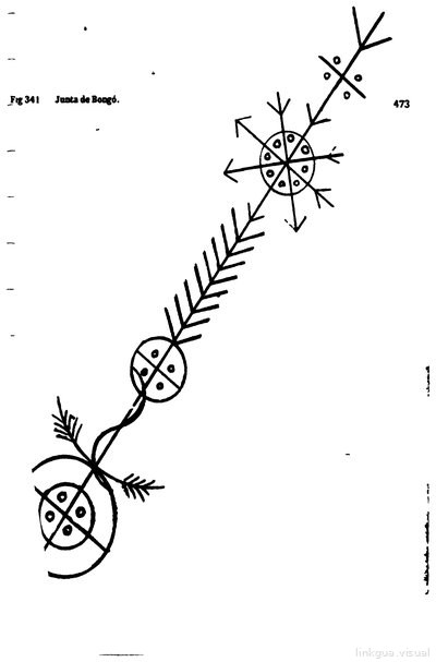 Anaforuana, lámina 3553