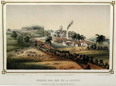 El Ingenio San José de la Angusta: producción azucarera en la Cuba del siglo XIX — No identificado