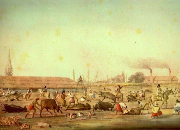Faena de campo con ganado y gauchos — Charles Henri Pellegrini