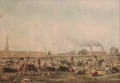El Saladero — Charles Henri Pellegrini