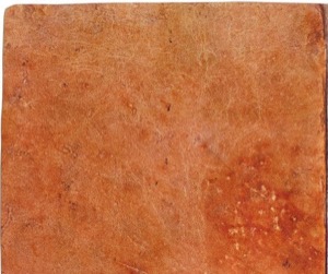 Detalle de Piel de Serpiente con Textura Natural — Tlacuilo anónimo, tradición mixteca-puebla (Códice Laud)