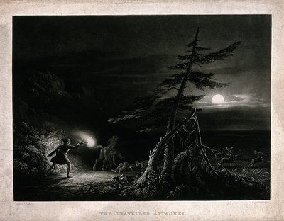 Ataque a viajero en la noche lunar — Daniel Thomas Egerton