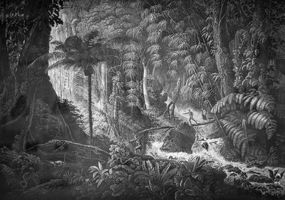 Painting in Fish in Itau Cultural — Jean-Baptiste Debret