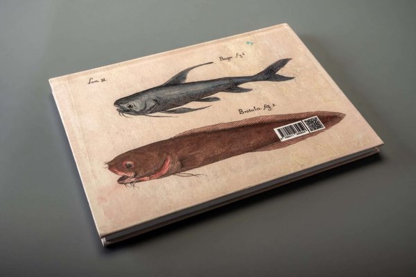 Descripcion de diferentes piezas de historia natural — Antonio Parra