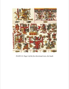 Páginas de Códices Mayas: Cosmogonía y Mitología — Anónimo mesoamericano