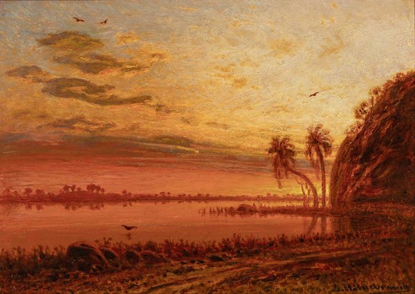 Atardecer tropical con palmeras y aves — Eduard Hildebrandt