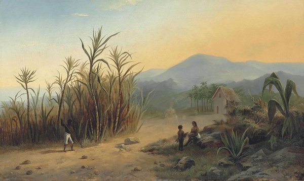Paisaje tropical con caña de azúcar — Eduard Hildebrandt