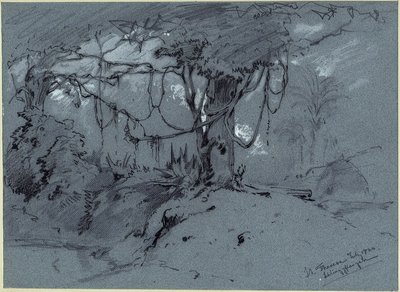 Baum mit Schlingpflanzen — Eduard Hildebrandt