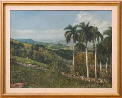 Un vasto paisaje tropical se despliega bajo un cielo parcialmente nublado — Eduardo Morales Morales