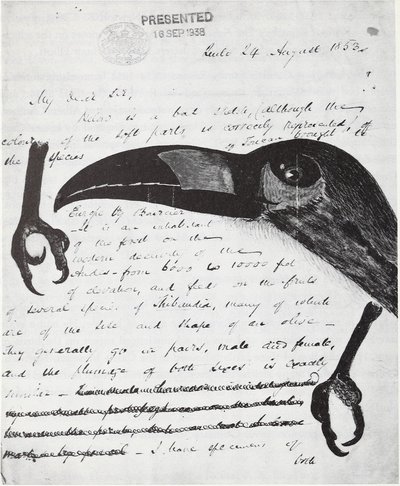 Y john gould — Elizabeth Gould