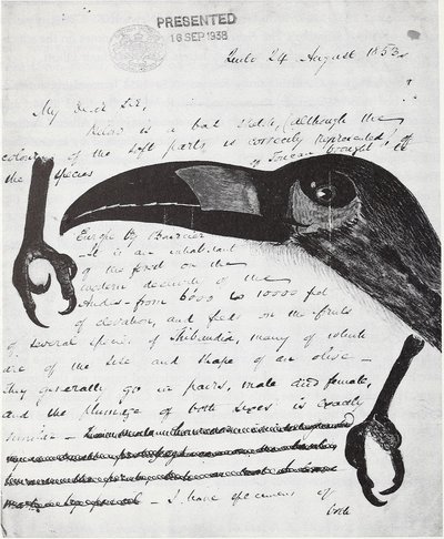 Y john gould — Elizabeth Gould