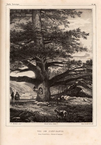 Sabino de Berthelot, nº 1836 — Émile Lassalle