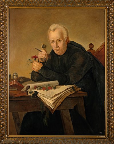 Celestino Mutis (1732-1808), Spanish naturalist. Oil pa Wellcome V0018015 — José Celestino Mutis