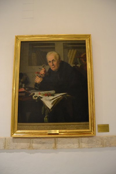 Celestino Mutis examinando flora — José Celestino Mutis