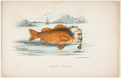 M drexel from the comic natural history of — Francis Martin Drexel