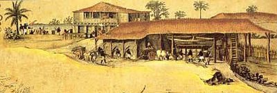 Markgraf Pernambuco — Frans Post