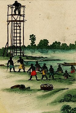 Vista del Brasil holandés — Post, lámina — Frans Post
