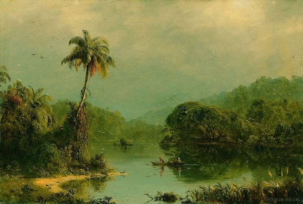 Paisaje fluvial tropical con palmera