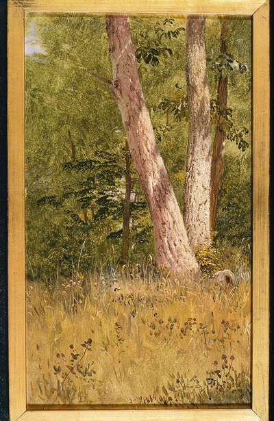 Paisaje con dos árboles — Frederic Edwin Church
