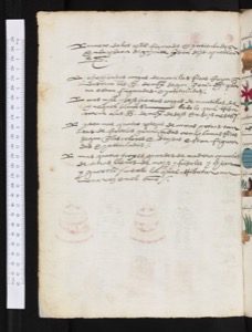 Lámina — Códice Mendoza — Anónimo tlacuilo mexica (Códice Mendoza)