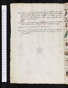 Iiif Bodleian Mendoza, página — Anónimo tlacuilo mexica (Códice Mendoza)