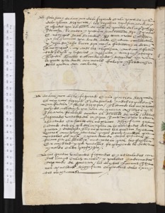 Iiif Bodleian Mendoza, página — Anónimo tlacuilo mexica (Códice Mendoza)
