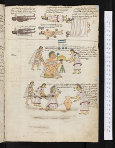 Lámina — Códice Mendoza — Anónimo tlacuilo mexica (Códice Mendoza)
