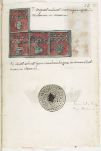 Códice con representaciones de objetos y escritura en náhuatl — Anónimo tlacuilo mexica (Códice Aubin)