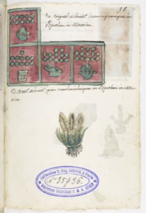 Lámina — Códice Aubin — Anónimo tlacuilo mexica (Códice Aubin)