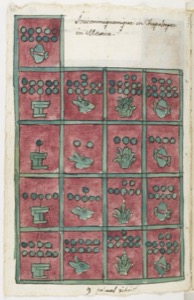 Códice Colonial — Con sistema de registro y tributo en recuadros — Anónimo tlacuilo mexica (Códice Aubin)