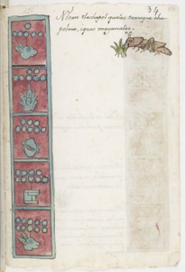 Página de códice precolombino con glifos y saltamontes — Anónimo tlacuilo mexica (Códice Aubin)