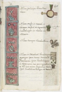 Página del Códice Florentino con glifos y escritura náhuatl — Anónimo tlacuilo mexica (Códice Aubin)