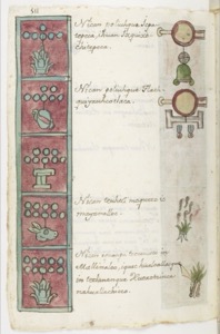 Página del Códice Florentino con glifos y texto náhuatl — Anónimo tlacuilo mexica (Códice Aubin)