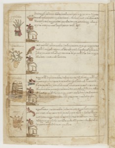Iiif gallica btv1b8452823t f0010 — Anónimo tlacuilo mexica
