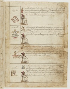 Iiif gallica btv1b8452823t f0011 — Anónimo tlacuilo mexica