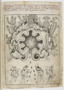 Ilustración de la flora y fauna de América — Anónimo