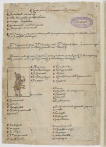 Iiif gallica btv1b84559448 f0047 — Anónimo tlacuilo mexica