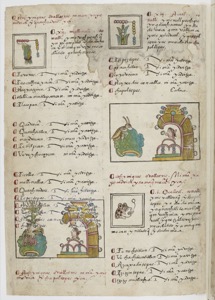 Páginas de un códice pictográfico con textos en náhuatl — Anónimo