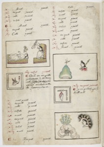 Códice Mendocino: — Ilustraciones de la vida azteca y su escritura pictográfica — Anónimo