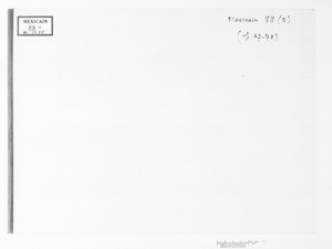 Iiif gallica encruz gallica — Anónimo tlacuilo mexica