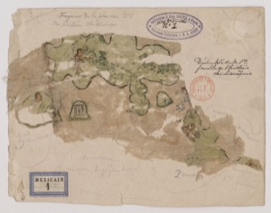 Iiif gallica xolotl, nº 7 — Anónimo tlacuilo texcocano (Códice Xólotl)