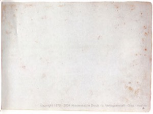 Códice Magliabecchiano, — Lámina, nº 21 — Anónimo tlacuilo (Códice Magliabecchiano)