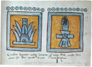 Códice Magliabecchiano, — Lámina, nº 35 — Anónimo tlacuilo (Códice Magliabecchiano)