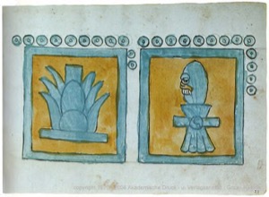 Ilustraciones de glifos mesoamericanos en códice — Anónimo tlacuilo (Códice Magliabecchiano)