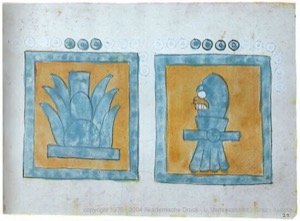 Ilustración de glifos mexicas: maguey y guerrero — Anónimo tlacuilo (Códice Magliabecchiano)