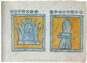 Ilustraciones de códice prehispánico: planta y figura humana — Anónimo tlacuilo (Códice Magliabecchiano)