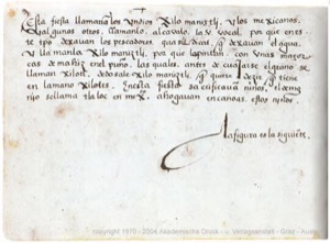 Códice Magliabecchiano, — Lámina, nº 58 — Anónimo tlacuilo (Códice Magliabecchiano)