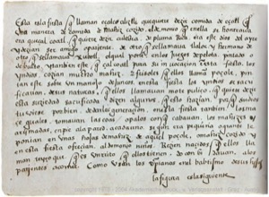 Códice Magliabecchiano, — Lámina, nº 68 — Anónimo tlacuilo (Códice Magliabecchiano)