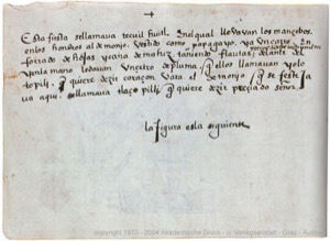 Códice Magliabecchiano, — Lámina, nº 70 — Anónimo tlacuilo (Códice Magliabecchiano)